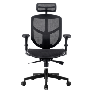 Enjoy Basic 2 - Netaseta